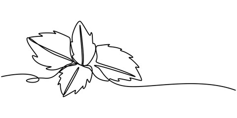Mint, spearmint vector illustration.Background for label design. One continuous line art drawing illustration with lettering organic mint, Continuous Line Art Illustration. Mint or Spearmint