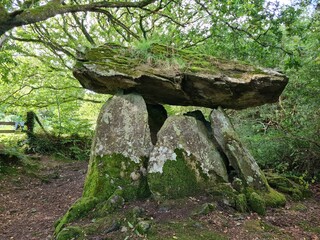 Gaulsten Dolmen Ireland Old Rocks