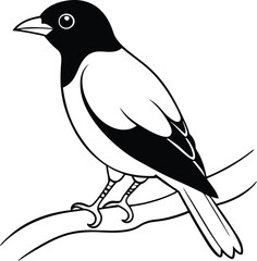 Creative Beautiful Myna bird logo icon vector illustration highlighting nature-inspired elements and artistic details