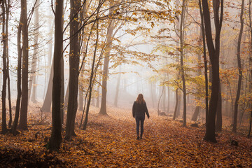 Woman walking in autumn misty forest. Fog in cold morning at woodland. Fall weather in nature