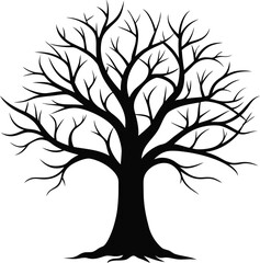 Obraz premium Silhouette of a natural tree without leaf