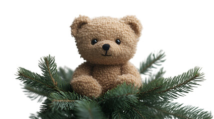 a teddy bear in a pine tree. 
