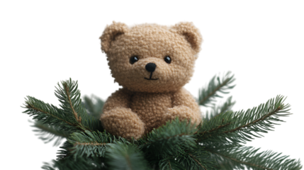 a teddy bear in a pine tree. 