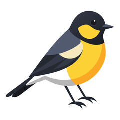 Illustration of Tomtit bird isolated on white