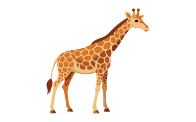 Vector Giraffe Standing Isolated on white