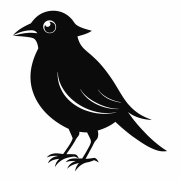 recommend clip art: Bird silhouette vector illustration on white background