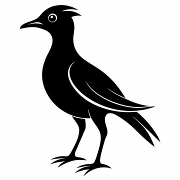 recommend clip art: Bird silhouette vector illustration on white background