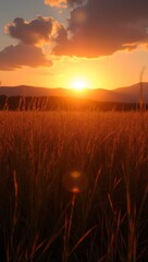 Serene sunrise over hills long shadows in tall grass warm sky tones