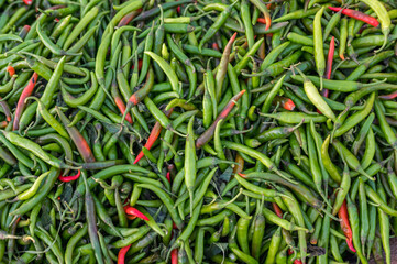 Pile of fresh raw green chili. Background of green chilli peppers