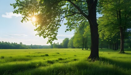 Serene green landscape featuring sunlit meadows and peaceful tree-lined paths under a clear blue sky