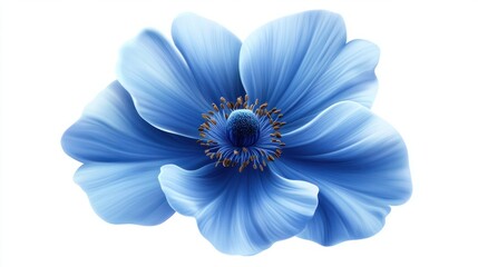 Fototapeta premium Blue flower isolated on white background, png with transparency. transparent background