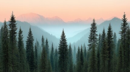 Beautiful forest panorama in morning,  mist and and foggy  