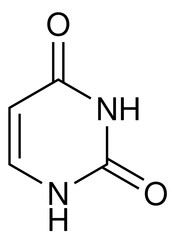 Uracil RNA Biochemie Strukturformel Vektor