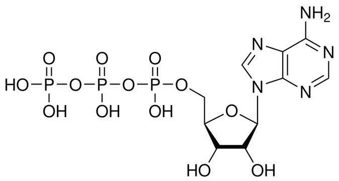 ATP Adenosintriphosphat Biochemie Strukturformel Vektor