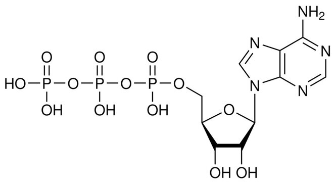 ATP Adenosintriphosphat Biochemie Strukturformel Vektor