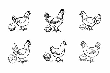 set of chicken and Egg