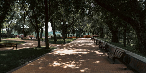 Park benches line the quiet walkway, offering a place to rest in the cool shade. The play of light...