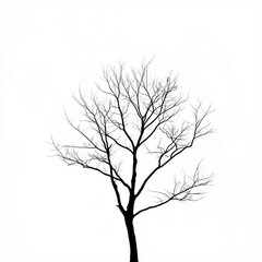 minimalist line art of a tree with no leaves