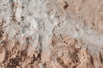 Background of beige, brown beach sand with natural pattern background. top view, flat lay. copy space, close up