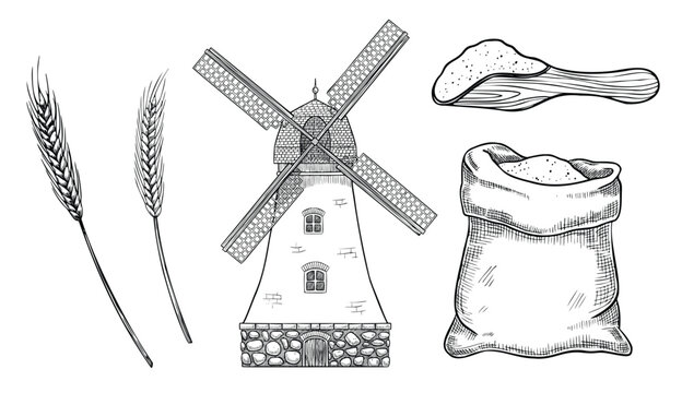 Vector drawing with flour, windmill and spikelets. Illustration in linear style of wind mill and cereal plant painted by black inks on isolated background. Etching for production label or cookery book