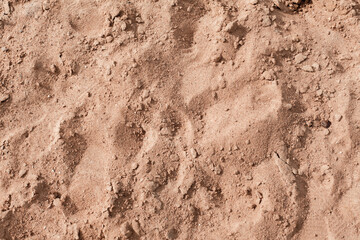 Background of beige, brown beach sand with natural pattern background. top view, flat lay. copy space, close up
