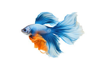 There swims an elegant fish with blue and orange fins. The fish are tiny and have vivid, vibrant colors. Generative AI