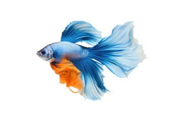There swims an elegant fish with blue and orange fins. The fish are tiny and have vivid, vibrant colors. Generative AI