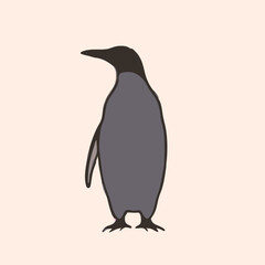 Obraz premium a Penguin, vector silhouette, isolated on white background 