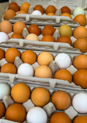 An assortment of fresh, multi-colored, eggs for sale at a farmer's market