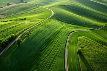 Lush green hills create a peaceful landscape. Winding roads cut through the fields. Perfect for nature lovers and photographers. Generative AI.
