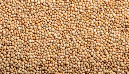 Fototapeta premium Quinoa repeated pattern