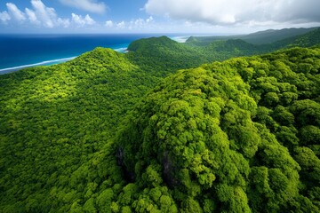 Fototapeta premium Trinidad and Tobago's lush Main Ridge Forest Reserve, the oldest legally protected forest reserve in the Western Hemisphere