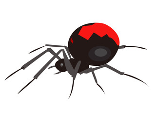 セアカゴケグモ