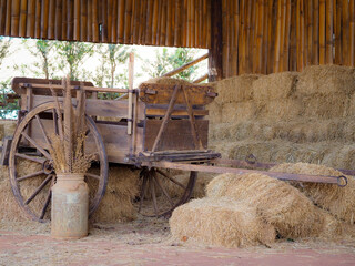 Obraz premium cherrete buggy