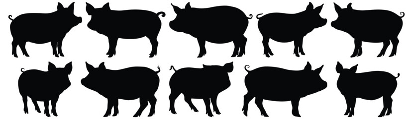 Pig silhouette set vector design big pack of animal illustration and icon