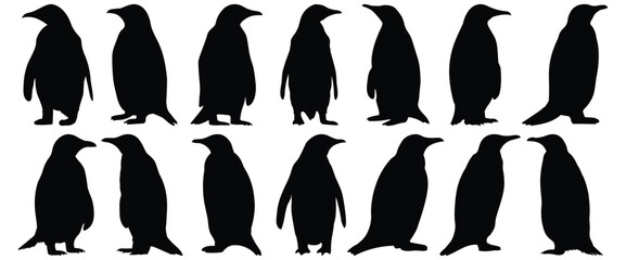 Penguin silhouette set vector design big pack of bird illustration and icon