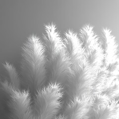 Obraz premium Neutral White Background