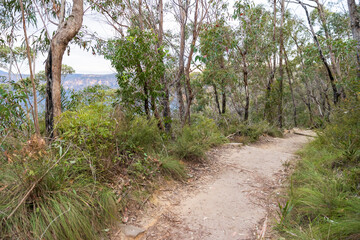 Photograph of the Cliff Top Track running around the Grose Valley in Blackheath in the Blue Mountains in New South Wales, Australia.