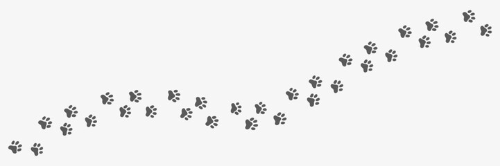 Animal path pattern. Cat or dog paws, foot print. Vector