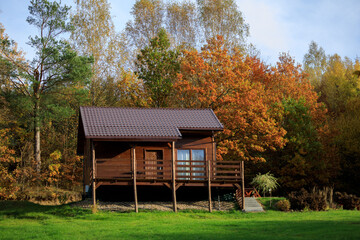 Lonely Wooden Hut in Autumn Forest.