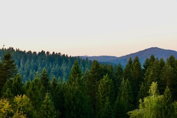 sunrise in the mountains