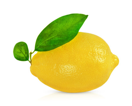 one ripe lemon with leaves isolated on white background