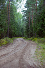 Fototapeta premium Gravel road in pine forest of Lithuania - summer season