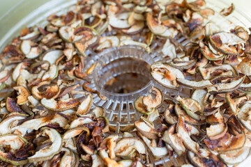 Drying apples in the fruit drying machine