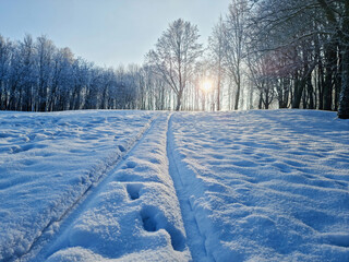 Cold winter in the park, ground covered with a shining snow.