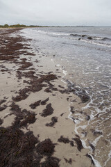 Beach after flood storm in Vallensbaek Denmark 20 October 2023 Koge bugt,