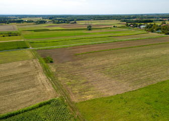 Aerial view of vast agricultural fields with varying shades of green and brown, showcasing the...