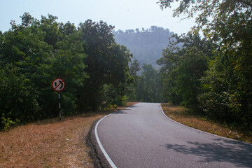 Jungle road