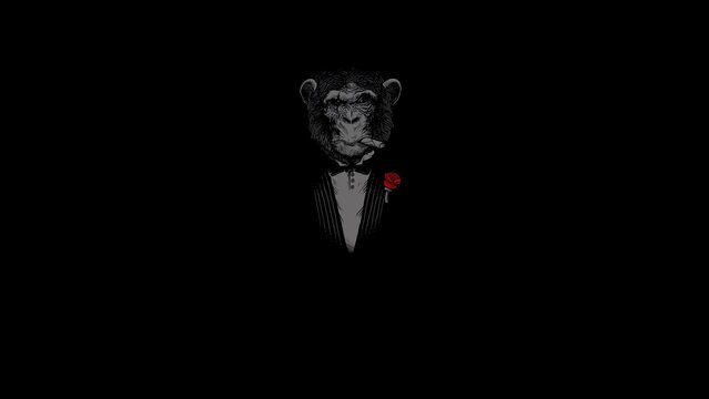 Hintergrund, Desktop Wallpaper - schwarz, Affe, dunkel
