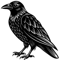 A black crow with its beak open and looking at the camera. The bird is standing on one leg and has its wings spread out